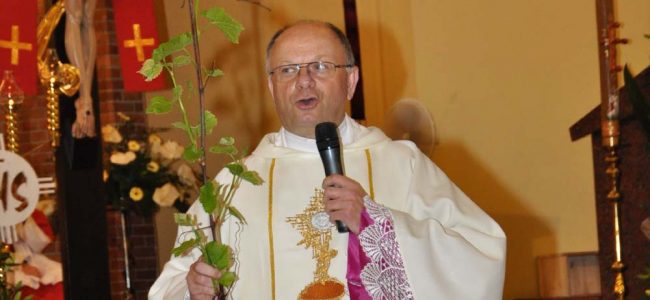 Ksiądz proboszcz